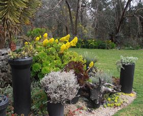 Out Of Town Nursery And Humming Garden - Attractions Brisbane 5