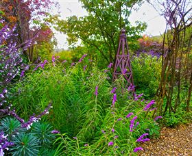 Out Of Town Nursery And Humming Garden - Attractions Brisbane 7