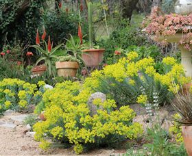 Out Of Town Nursery And Humming Garden - Attractions Brisbane 8