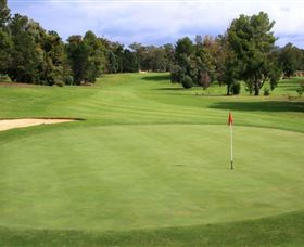 Commercial Golf Course - Attractions Brisbane 1
