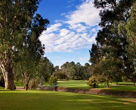 Commercial Golf Course - Attractions Brisbane 0