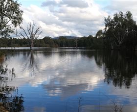 Wonga Wetlands - Attractions Brisbane 1