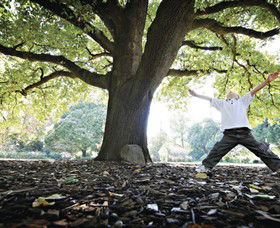 Albury Botanic Gardens - Attractions Brisbane 1