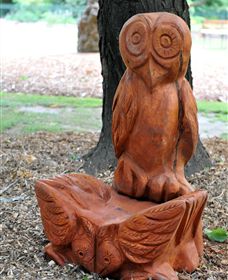 Albury Botanic Gardens - Attractions Brisbane 7