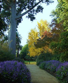 Albury Botanic Gardens - Attractions Brisbane 4