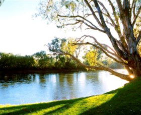 Albury - Murray River Precinct - Attractions Brisbane 0