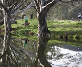 Albury - Murray River Precinct - Attractions Brisbane 3