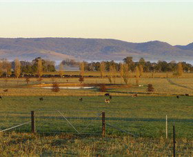 Holbrook NSW Attractions Brisbane