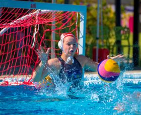 WAVES - Attractions Brisbane 3