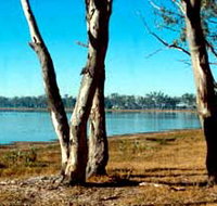 Lake Broadwater Conservation Park - Attractions Brisbane