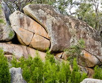 Frog Rock