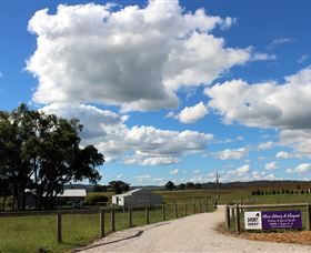 Short Sheep Micro-Winery - Attractions Brisbane 8