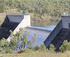 Ceratodus QLD Attractions Brisbane