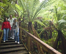  Attractions Brisbane