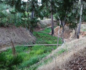 Lions Club Bicentennial Walk - Attractions Brisbane 0