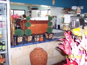 Warwicks Gardens Galore - Attractions Brisbane 2