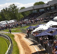 Thoroughbred Park Canberra Racing Club - Horse Racing in the Nations Capital - Attractions Brisbane