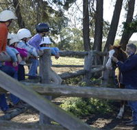 Harlow Park Horse Riding - Attractions Brisbane