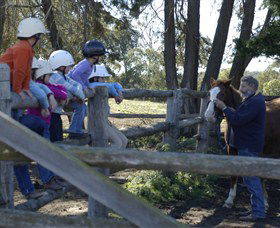 Harlow Park Horse Riding - Attractions Brisbane 0