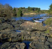 Kambah Pool to Pine Island - Attractions Brisbane