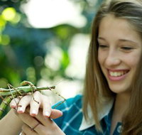 CSIRO Discovery Centre - Attractions Brisbane