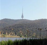 Black Mountain Peninsula - Attractions Brisbane