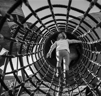 Pod Playground at the National Arboretum - Attractions Brisbane