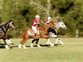 Morgan Park, Warwick - Attractions Brisbane 0