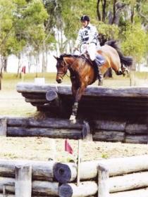 Morgan Park, Warwick - Attractions Brisbane 1