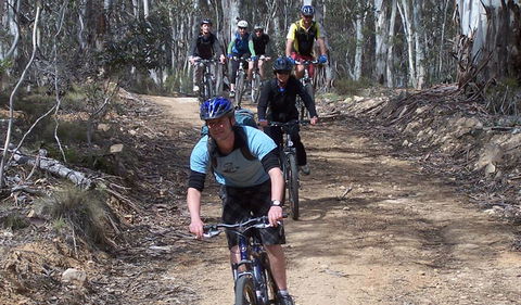 Boyd River Loop - Attractions Brisbane 2