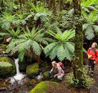 Baw Baw National Park - Attractions Brisbane