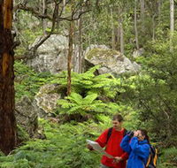 Centennial Glen - Attractions Brisbane