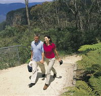 Blue Mountains Walking Tracks - Attractions Brisbane