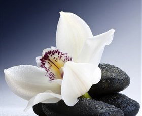 H2O Spa - Attractions Brisbane 1