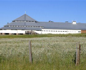 Deeargee Woolshed - Attractions Brisbane 0