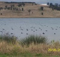 Lake Liddell Recreation Area - Attractions Brisbane