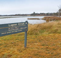 Lagoon Circuit walking track - Attractions Brisbane