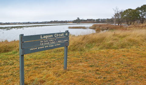 Lagoon Circuit Walking Track - Attractions Brisbane 0