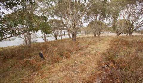 Lagoon Circuit Walking Track - Attractions Brisbane 1