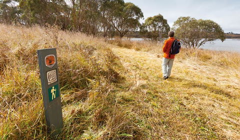 Lagoon Circuit Walking Track - Attractions Brisbane 2
