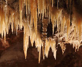 Wombeyan Caves - Attractions Brisbane 1