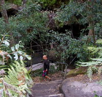 Leura Cascades Fern Bower - Attractions Brisbane
