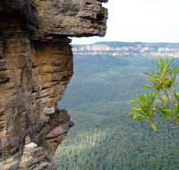 Three Sisters - Honeymoon Bridge - Attractions Brisbane