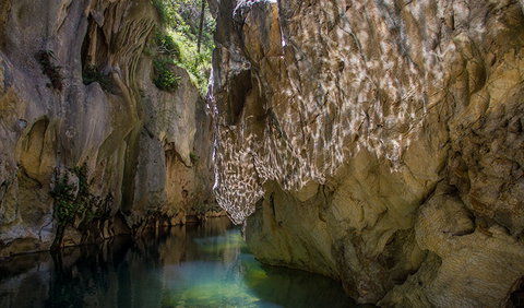 Mares Forest Creek Walking Track - Attractions Brisbane 2