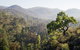 Mares Forest Creek Walking Track - thumb 3