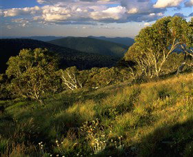 Namadgi National Park And Visitors Centre - Attractions Brisbane 2