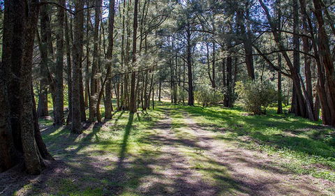 Wombeyan Waterfall Walking Track - Attractions Brisbane 0