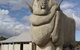 Big Merino - thumb 0