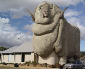 Big Merino - Attractions Brisbane 0