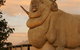 Big Merino - thumb 3